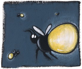 Post image for 10,000 Fire Flies